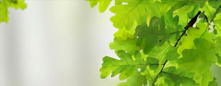 ICA Gruppen's double materiality analysis